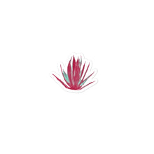 Load image into Gallery viewer, Agave sticker
